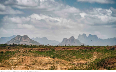 Tigray One Year On: An Anniversary of Famine and Conflict