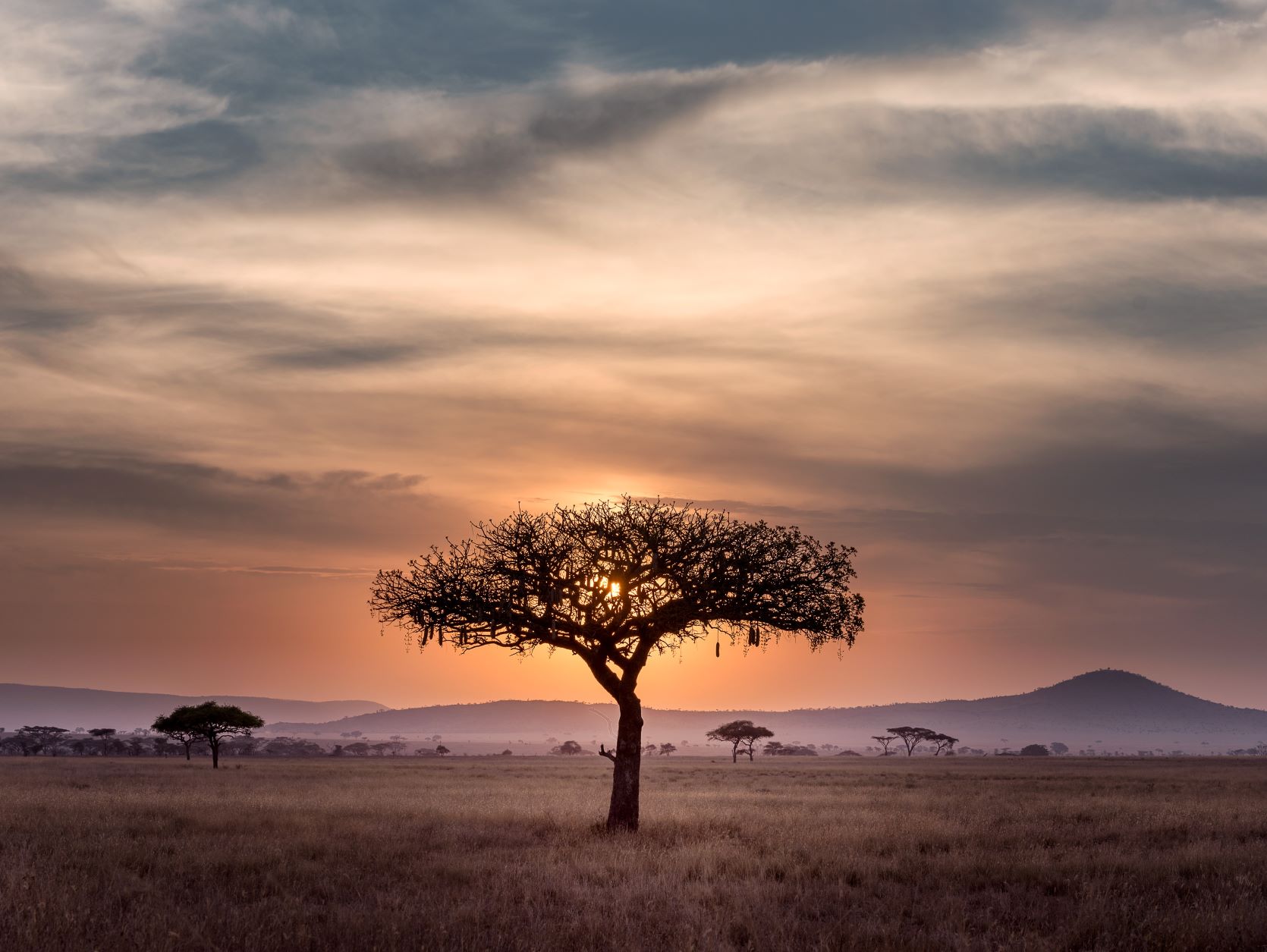 mtunya