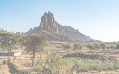 An OSINT Investigation of Starvation Crimes in Tigray